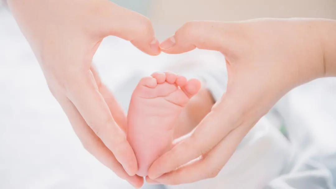 石家庄人民的好消息,河北人真的很幸福