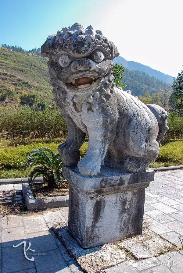 桂林兴安漠川银杏最佳观赏时间,桂林兴安漠川银杏网红打卡地