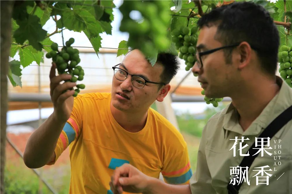 农业到底有多难,农业难果农难吗