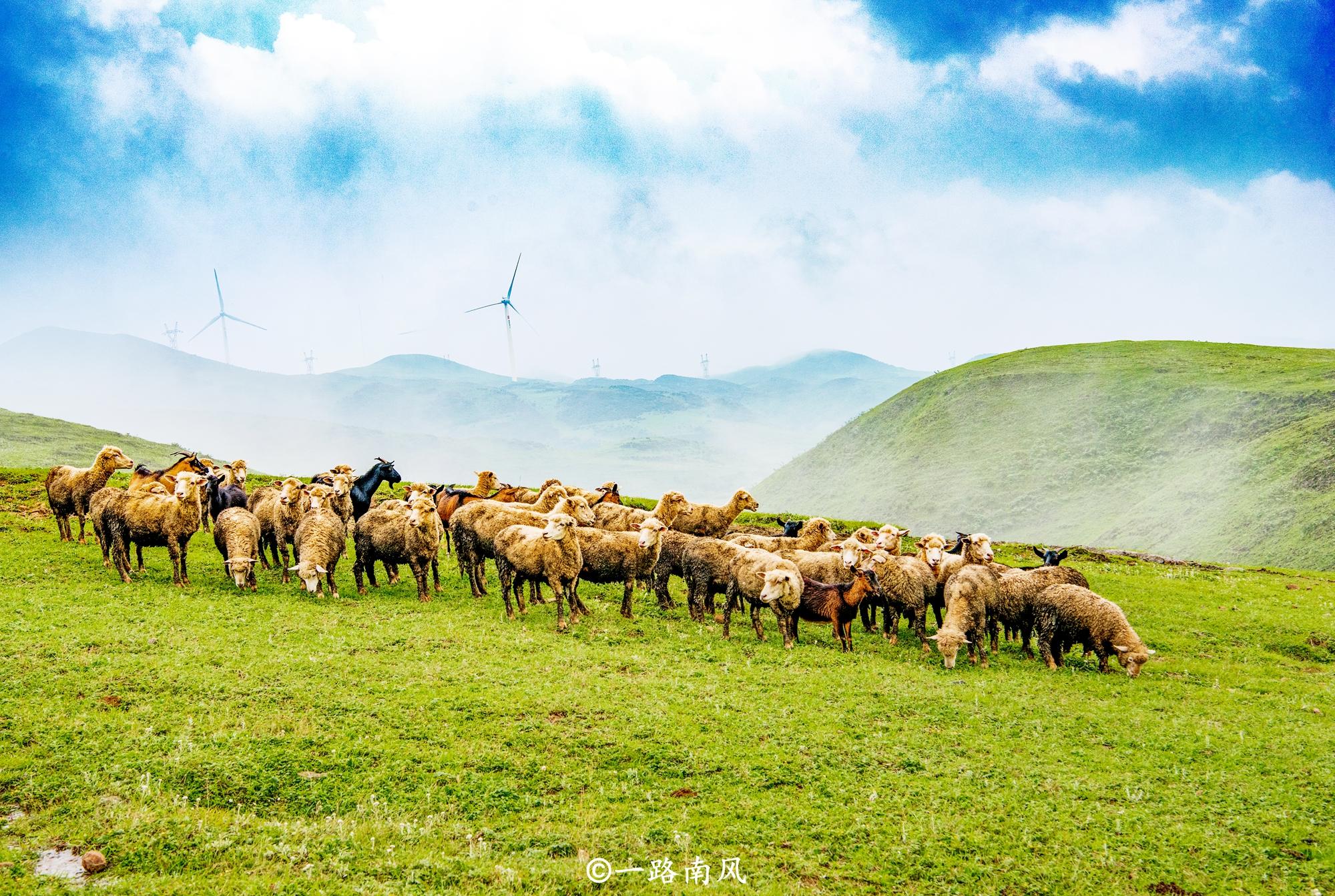 贵州藏着一处秘境,贵州凉都19度的夏天