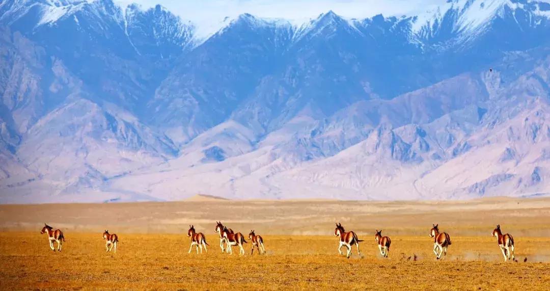 中国六十年代观影最多的电影,18年震撼中国十大瞬间