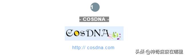 私享!这9款会让你变美的护肤APP,美妆博主都不会轻易告诉你