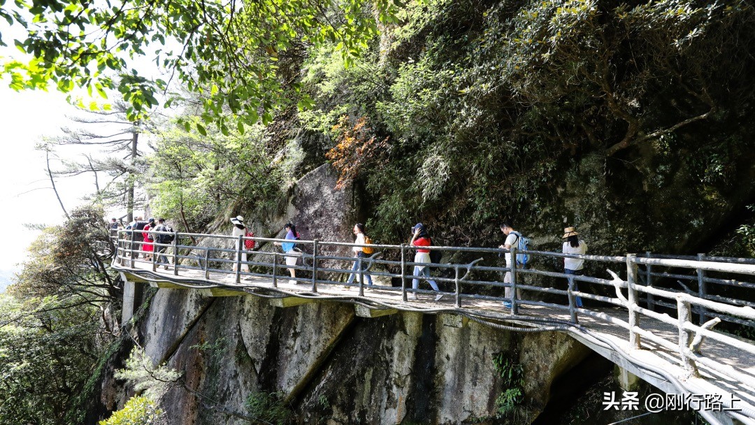 春暖花开感受大自然的美景和气息,春暖花开来三清山看日出云海吧