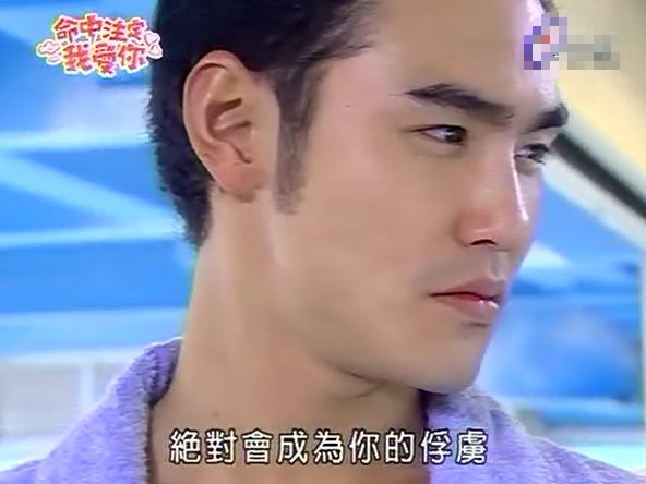 日版和台湾版流星花园,新流星花园在日本反响