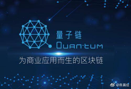 公链之王,公链未来的趋势