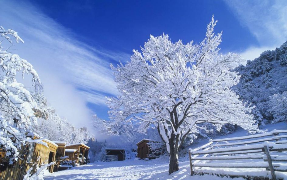 古诗词春雪,古诗鉴赏春寒