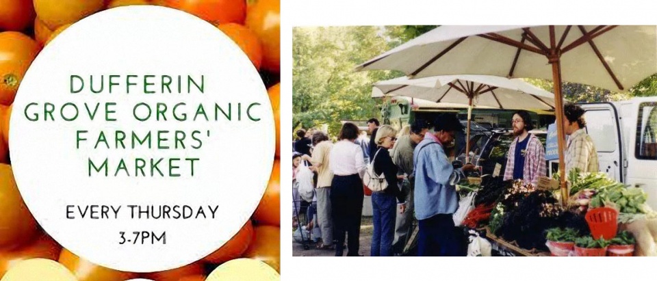 多伦多最有名的市场,在多伦多仓储式超市购物