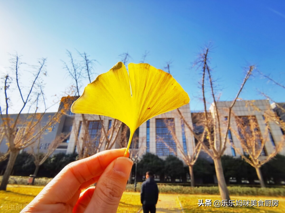 秋果吃多了会怎么样,常吃秋果有什么好处