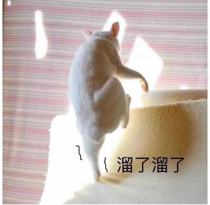 当医生这些年,医生都遇到过哪些奇葩的病人