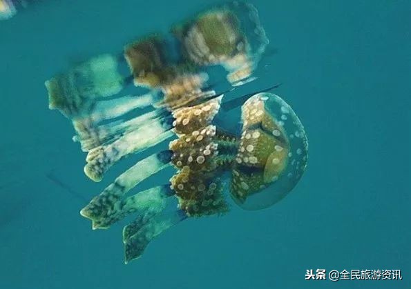 离中国很近的国家,小众冷门旅行地推荐