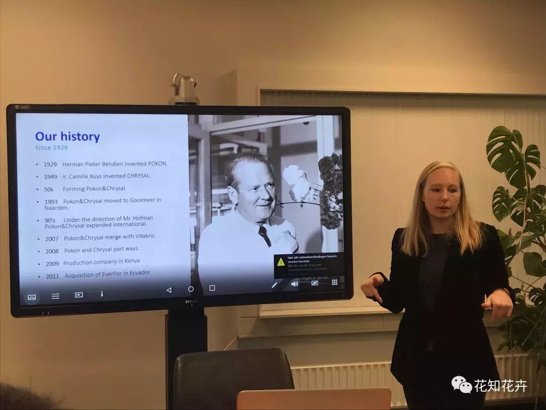 鲜花为什么最爱这一口！｜花呆子的荷兰鲜花游记（二）