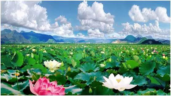 下一个假期去哪里？那些影视剧中宛如仙境的地方，不可以错过