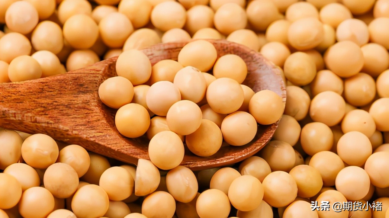 饲料企业提货慢，豆粕库存连增数周，美豆企稳在即，期货敢抄底？