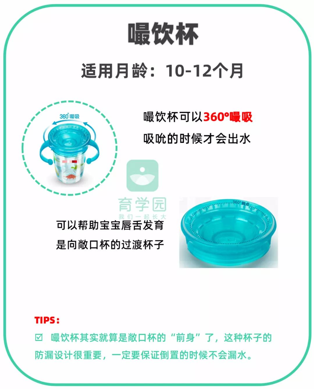 宝宝奶瓶鸭嘴杯和吸管杯讲解,奶瓶鸭嘴杯吸管杯最适合的年龄段