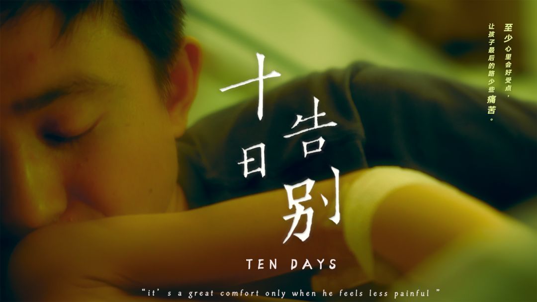 纽约国际短片节获奖名单,纽约电影电视节