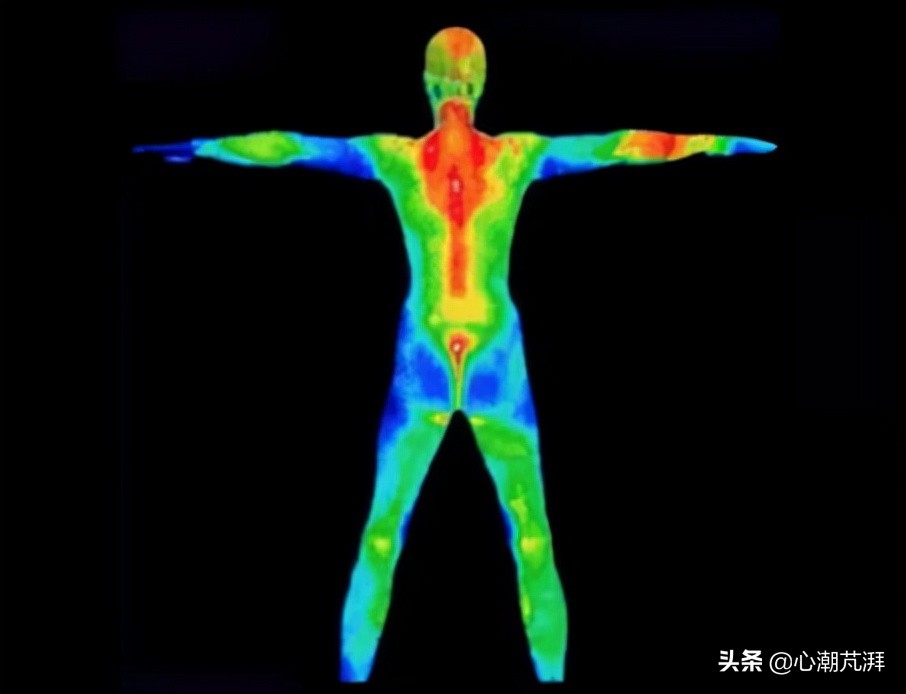 2020年冰箱最全选购攻略及价格,买冰箱该怎么选实惠好用