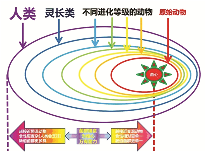 如何理解原生动物进化的意义,单细胞动物进化论