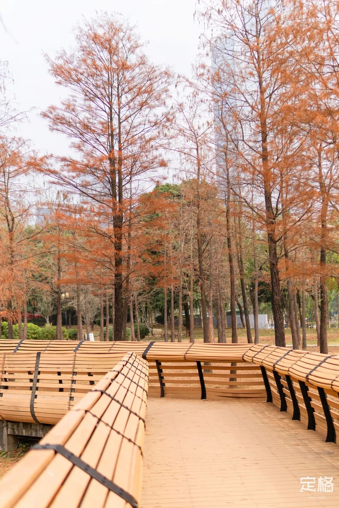 莲花山为啥一夜就火了,莲花山景区