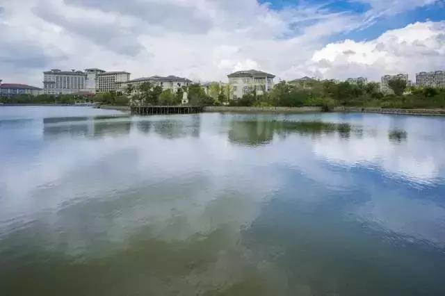 宁波周边踏青免费一日游,宁波踏青游玩的景点
