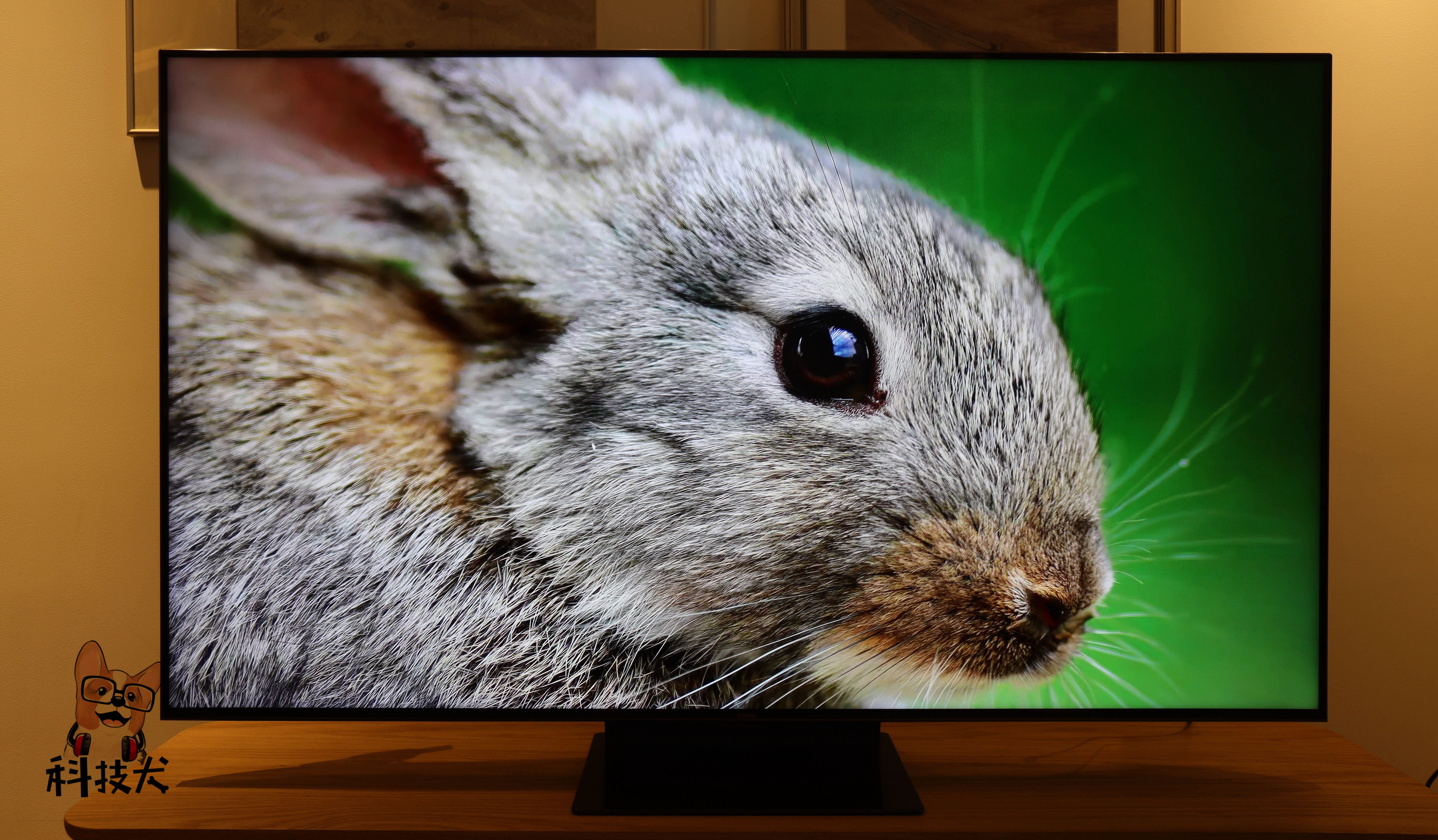 小米电视6至尊版75寸评测9999,小米至尊6电视65寸测评