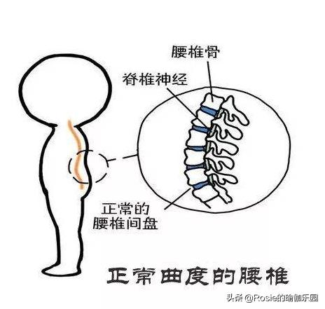 久坐屁股腰有肉怎么减,久坐导致腿粗屁股大怎么瘦