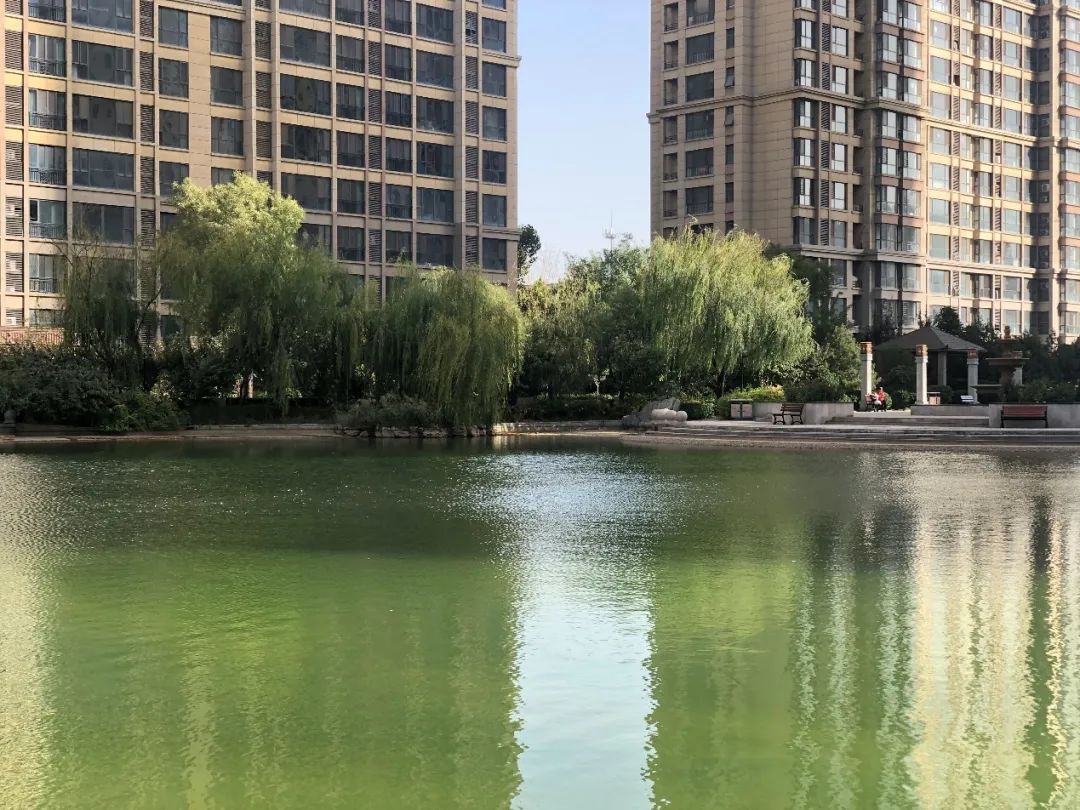 石家庄高新区最值得买的盘,实探一线湖景房