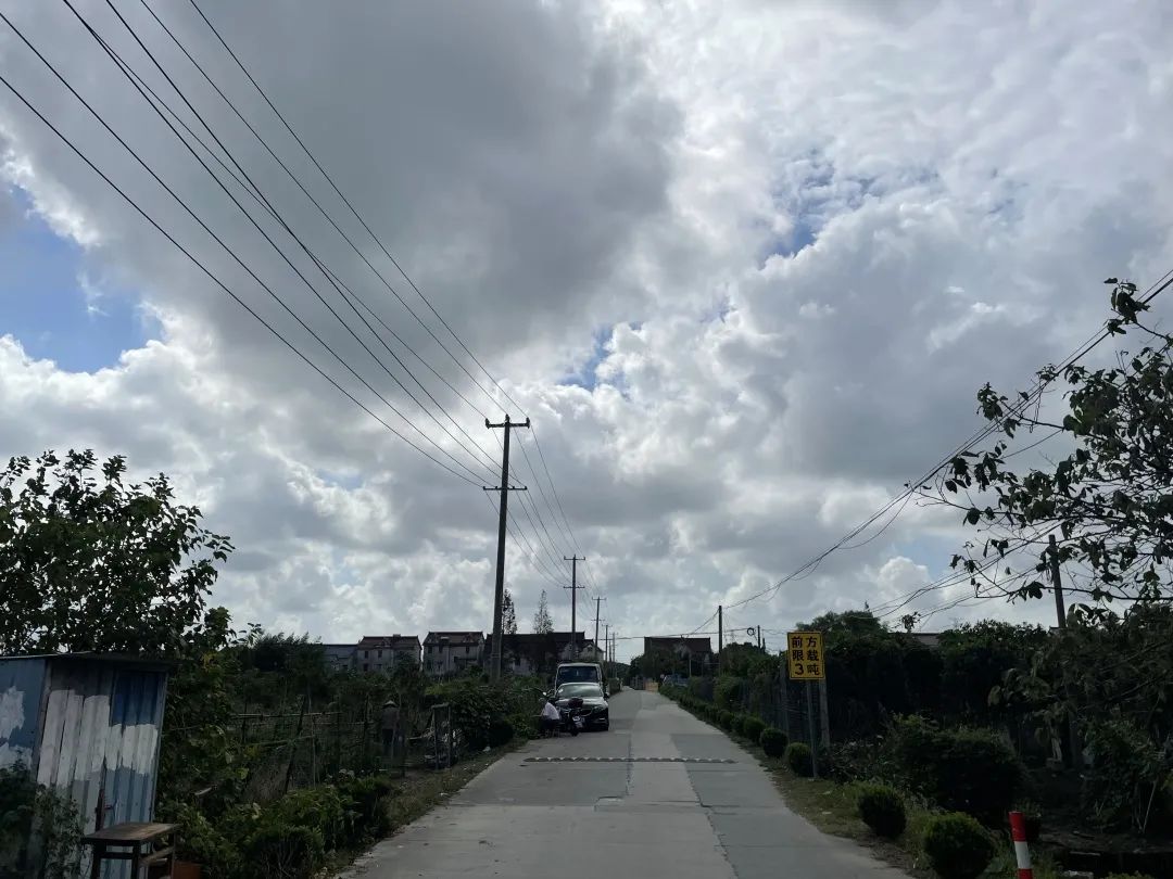 上海浦东川沙未来5年拆迁规划,浦东新区川沙城东发展趋势