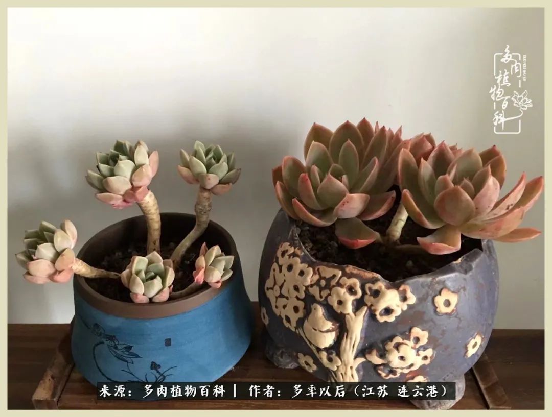 多去花前谈以后，少来月下忆当年