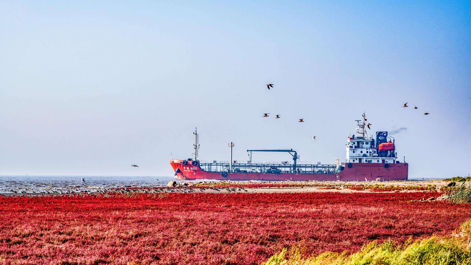 了解一座城历史,中国大陆唯一可观夕阳坠海的城市