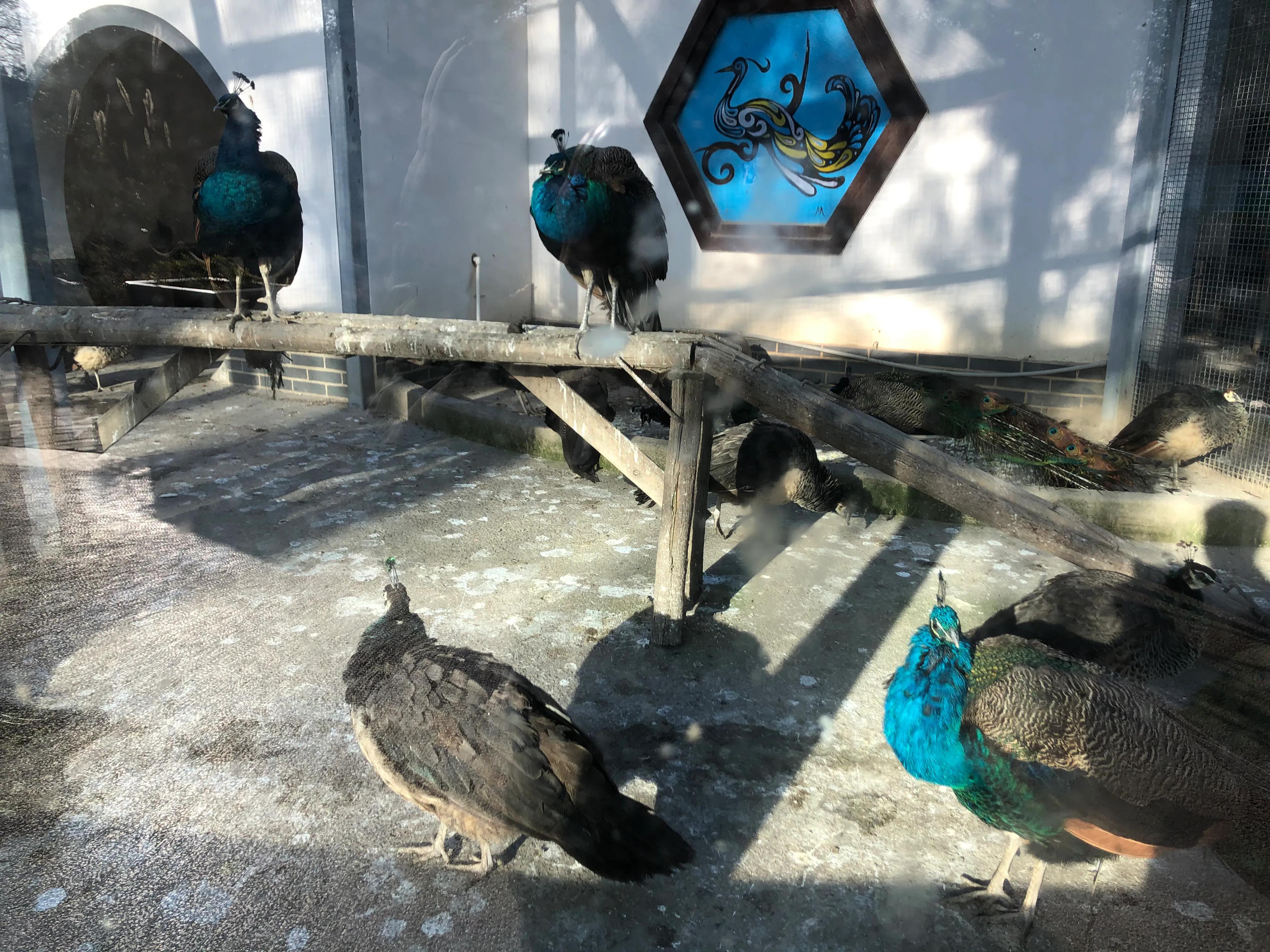 平顶山河滨公园旅游攻略,平顶山森林公园游记