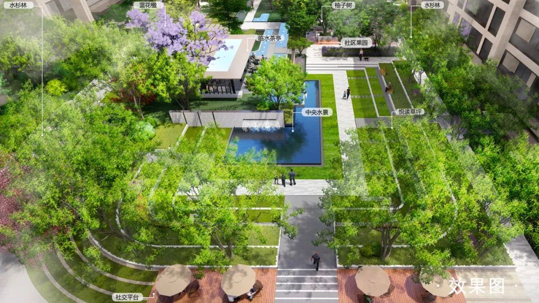 最近成华区新消息,最新成华区消息