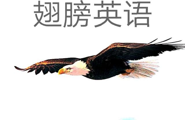 表语从句用什么语序,表语从句用什么词