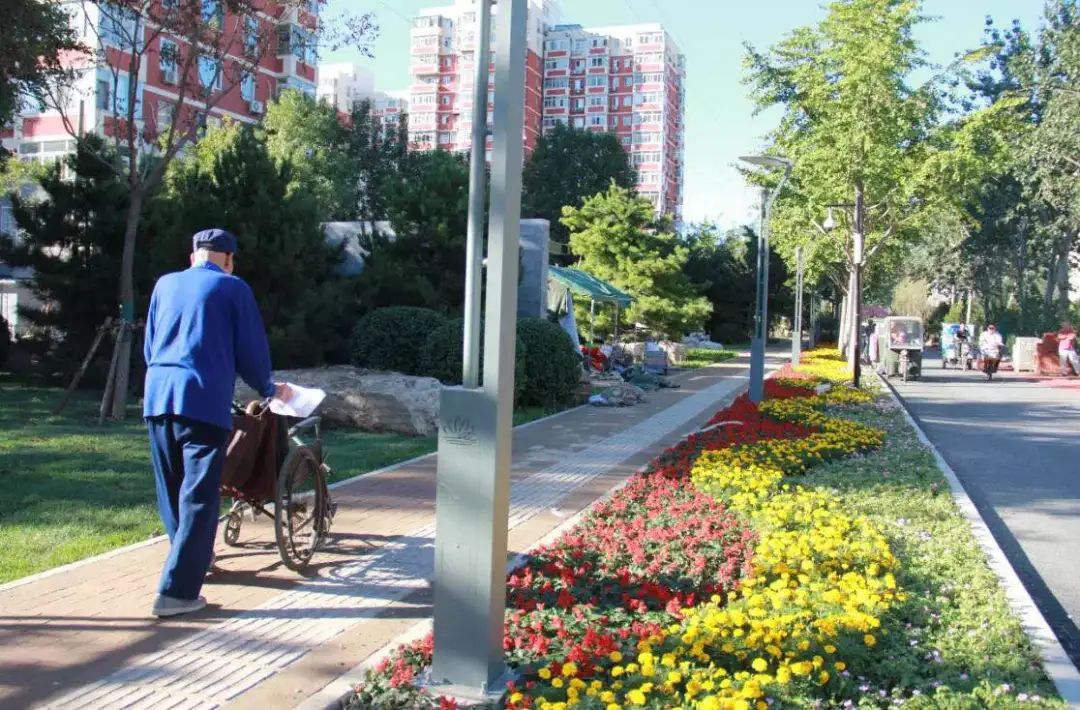 推动老城区旧貌换新颜,推进新老城区品质功能提升