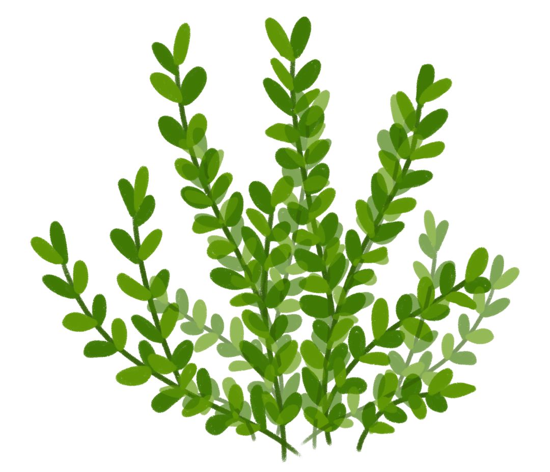 十分钟看完长安十二时辰,长安十二时辰看完的感受