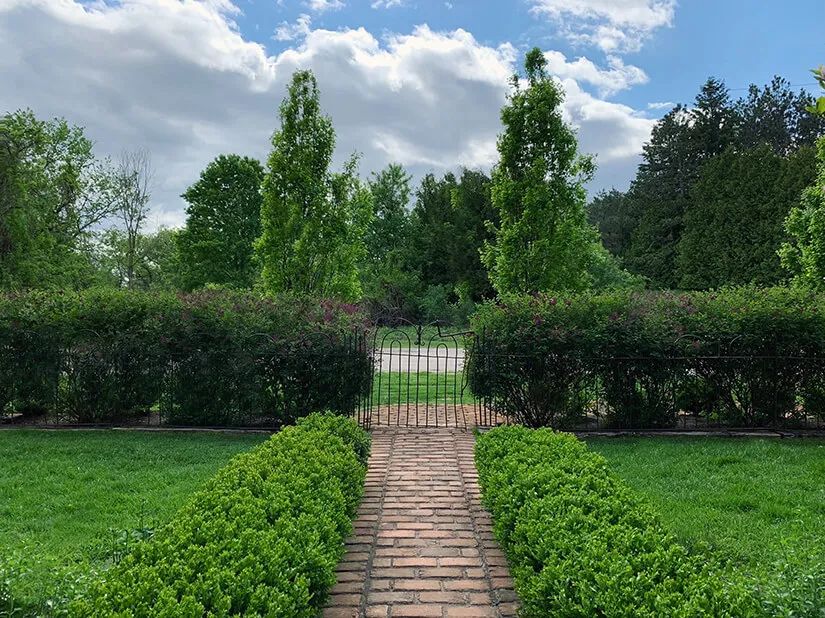 简单实用的家庭花园,20平方小花园