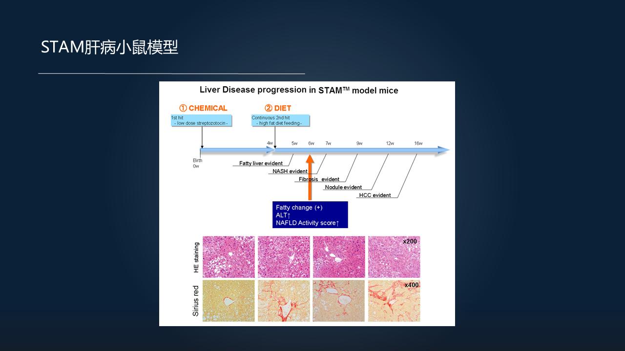 「图文实录」郑晓皎：18分钟详解菌群-胆汁酸与消化系统肿瘤