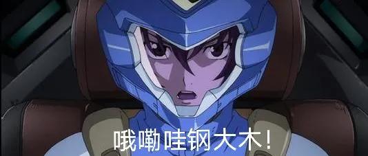 tw骑士擎天柱动作,tw骑士擎天柱官图