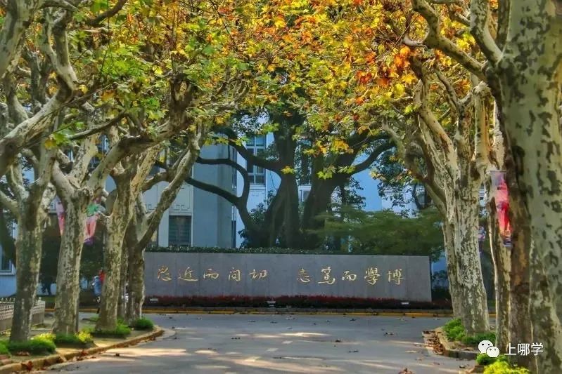 上海复旦学校有哪些,上海复旦学校排名