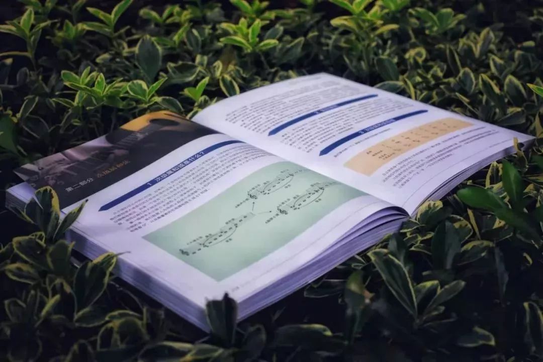 吉他必背100个知识,吉他初学者入门基本功女孩几岁学