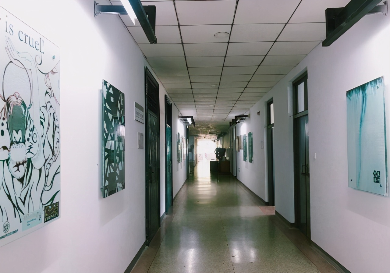 石家庄学院类的学校,石家庄学院的图书馆排名