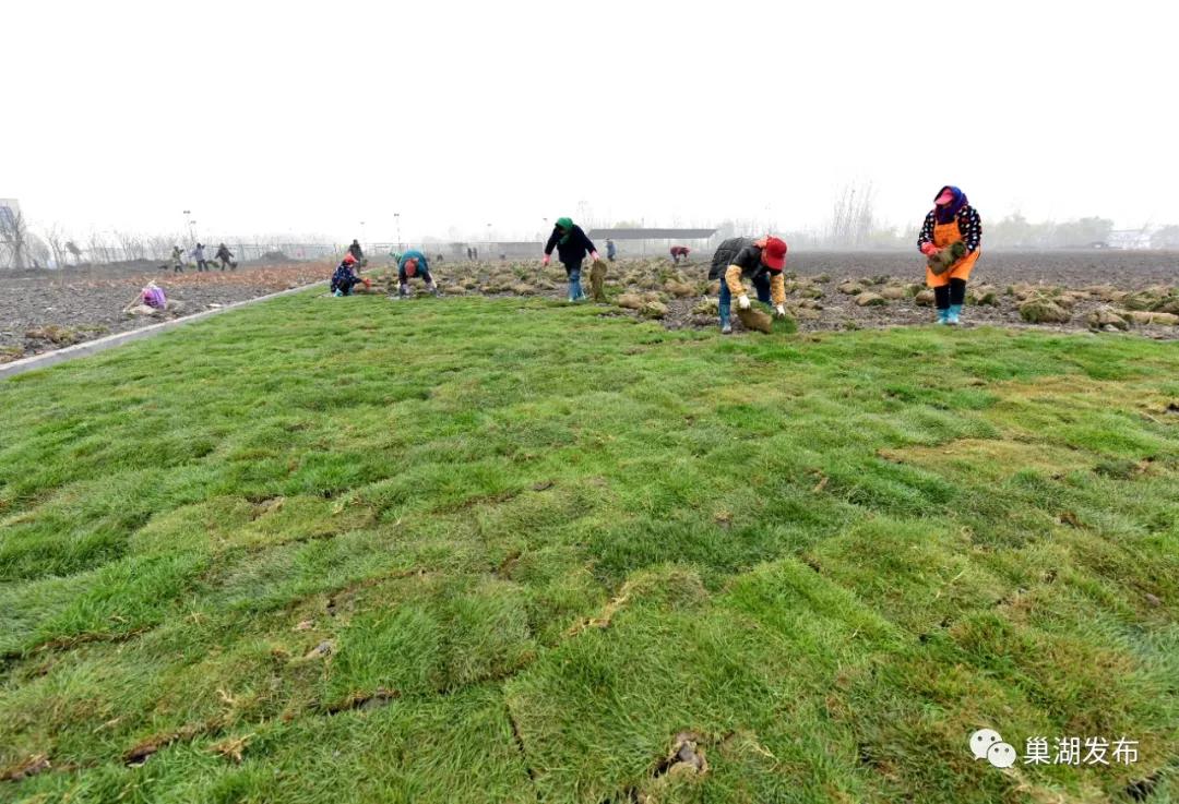 新型足球场草坪,人工草坪足球场建设全过程