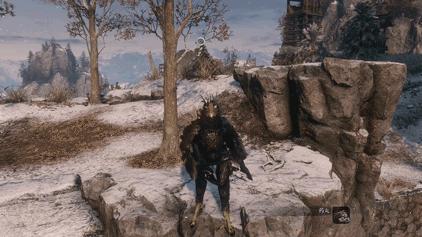 鸡你太美！当你在《只狼》里变成一只鸡画面会有多美？