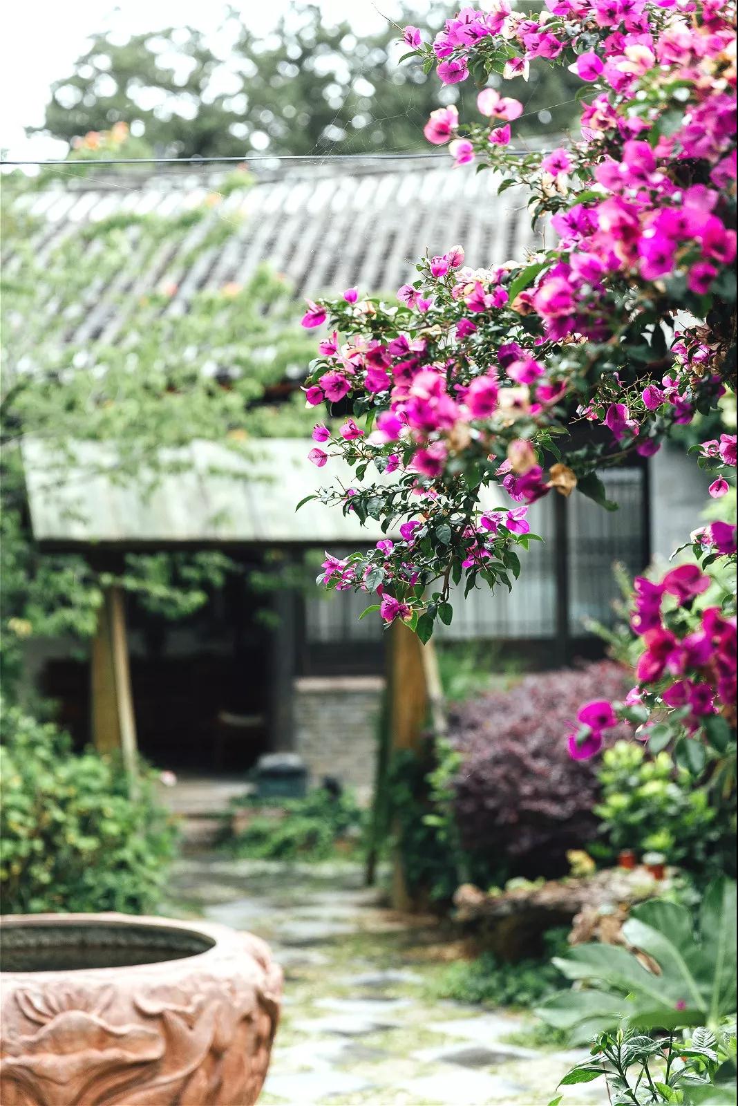 邂逅丽江住宿客栈,丽江适合情侣住的客栈