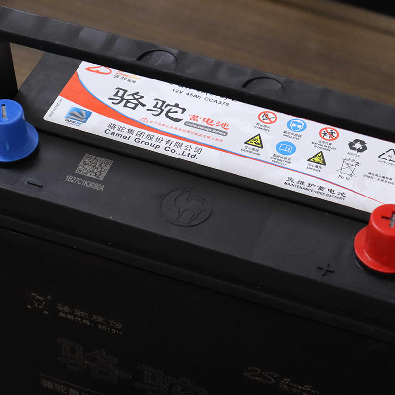 骆驼蓄电池特点,骆驼蓄电池服务宗旨