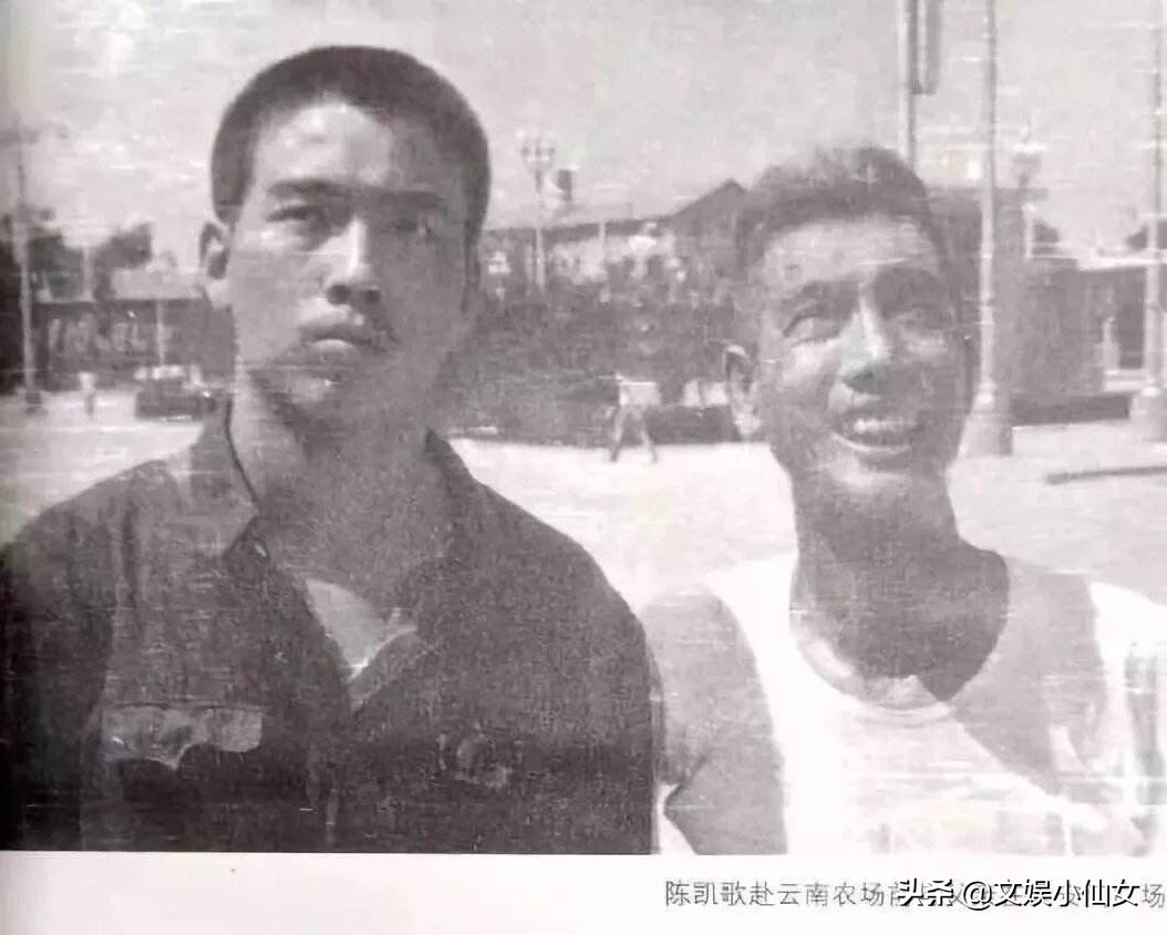 陈凯歌李成儒互相讽刺,陈凯歌讽刺李诚儒的话