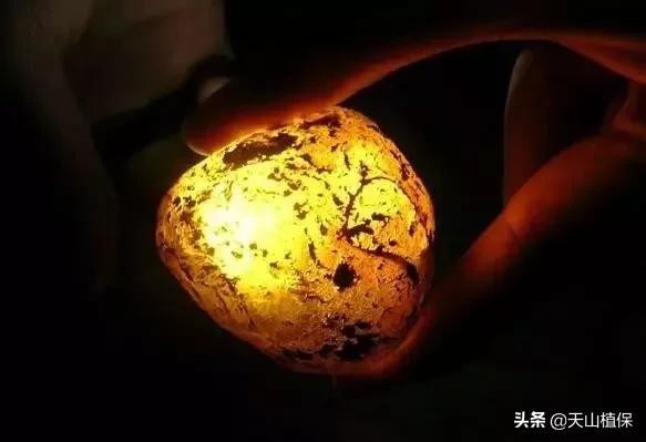 怎么捡到价值极高的石头,捡到一块石头价值千万