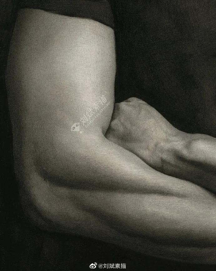 刘斌素描全过程,刘斌素描的技法