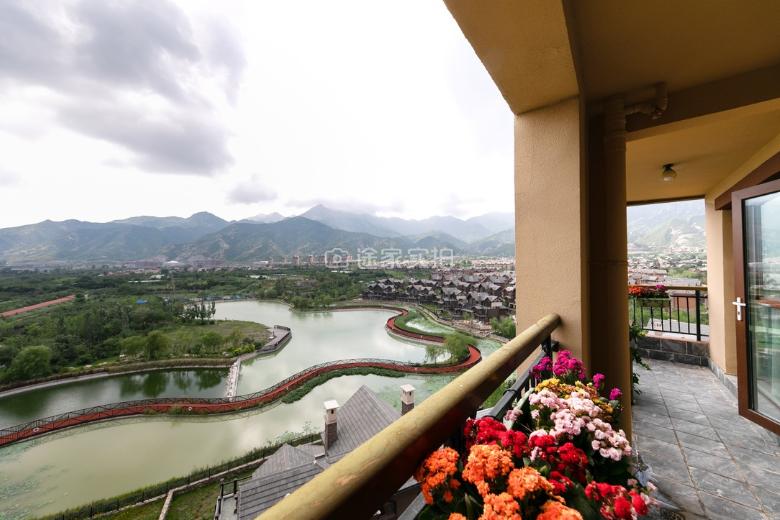 可以带狗玩水的民宿,最值得去的宠物民宿