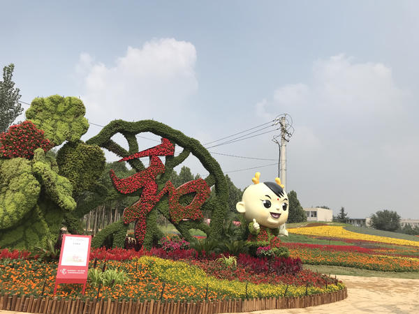 百花齐放迎盛世华夏崛起在今朝,花团锦簇万众瞩目