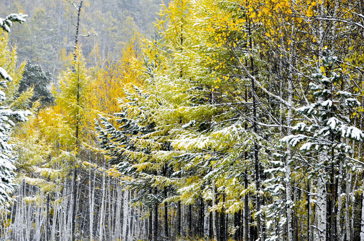 着凉了怎么办吃什么药,着凉了怎么办呀
